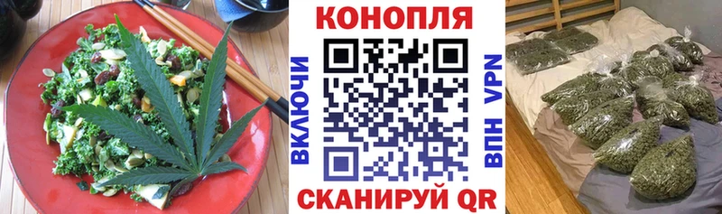 Купить где  Порхов  Canna-Cookies марихуана 