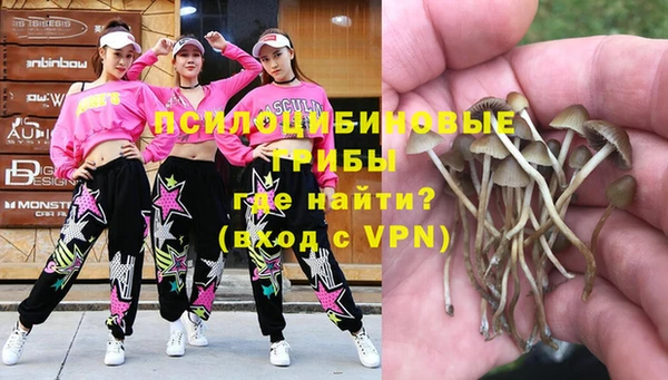 метадон Магас